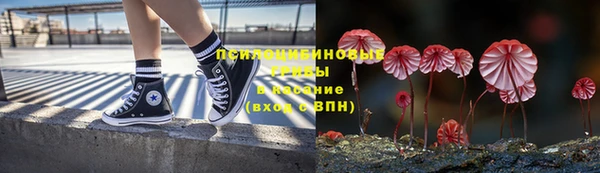 ECSTASY Покровск