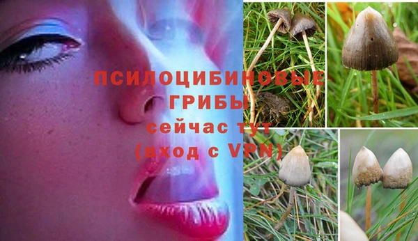 наркотики Покачи