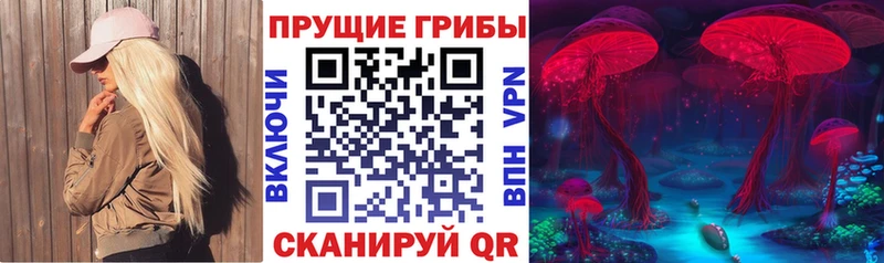 MEGA tor  Зубцов  Псилоцибиновые грибы мицелий 
